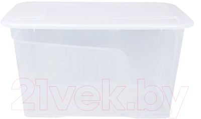 Контейнер для хранения Полимербыт Roombox / 4373400