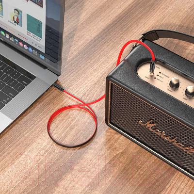 Кабель Hoco UPA16