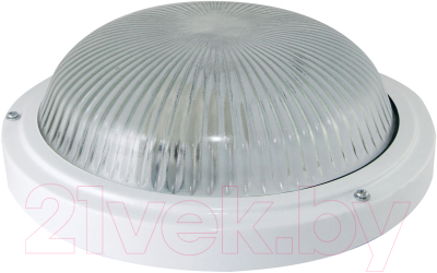 Светильник ЖКХ TDM SQ0311-0017 - фото