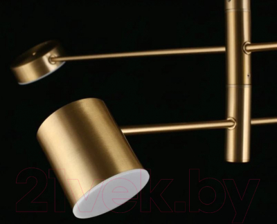 Люстра Aployt Frania APL.017.17.48