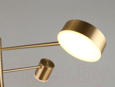 Люстра Aployt Frania APL.017.17.48