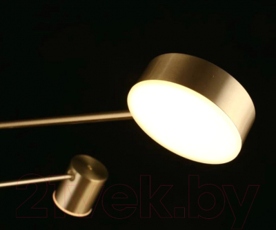 Люстра Aployt Frania APL.017.17.48