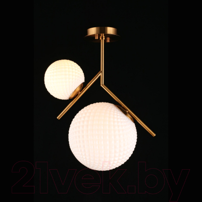 Потолочный светильник Aployt Marzena APL.300.07.02