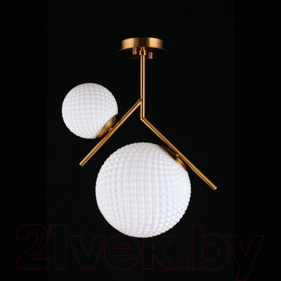 Потолочный светильник Aployt Marzena APL.300.07.02