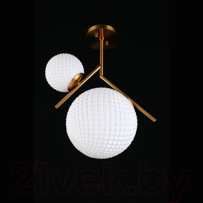 Потолочный светильник Aployt Marzena APL.300.07.02