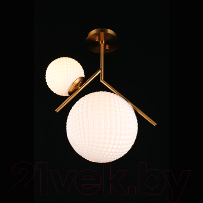 Потолочный светильник Aployt Marzena APL.300.07.02