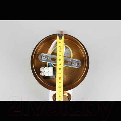 Потолочный светильник Aployt Marzena APL.300.07.02