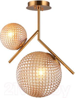 Потолочный светильник Aployt Marzena APL.300.17.02 - фото