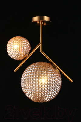 Потолочный светильник Aployt Marzena APL.300.17.02