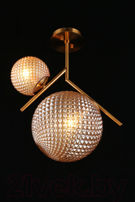 Потолочный светильник Aployt Marzena APL.300.17.02