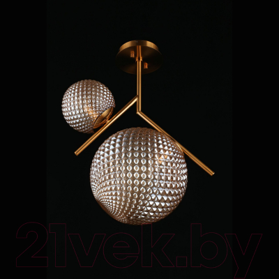 Потолочный светильник Aployt Marzena APL.300.17.02