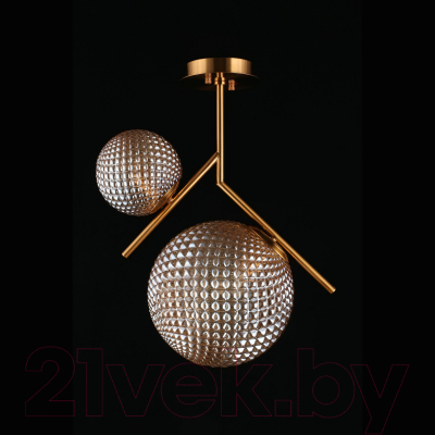 Потолочный светильник Aployt Marzena APL.300.17.02