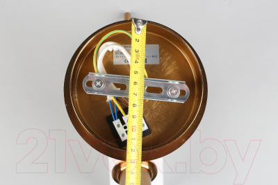 Потолочный светильник Aployt Marzena APL.300.17.02