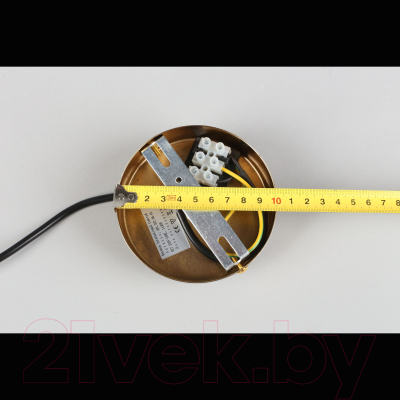 Потолочный светильник Aployt Sofi APL.302.06.01