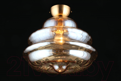 Потолочный светильник Aployt Liana APL.303.17.01