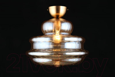 Потолочный светильник Aployt Liana APL.303.17.01