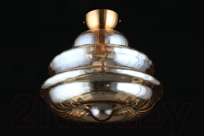 Потолочный светильник Aployt Liana APL.303.17.01