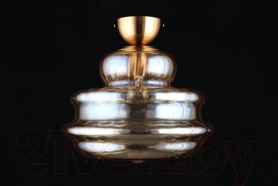 Потолочный светильник Aployt Liana APL.303.17.01