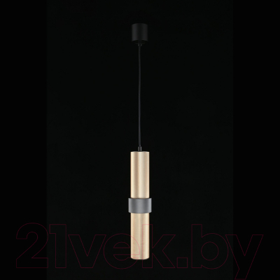 Потолочный светильник Aployt Beasia APL.614.16.01