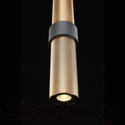 Потолочный светильник Aployt Beasia APL.614.16.01