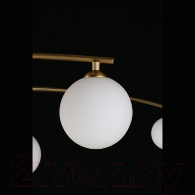 Люстра Aployt Ewelina APL.621.07.06