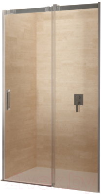 Душевая дверь Riho Ocean / G006001120 - фото