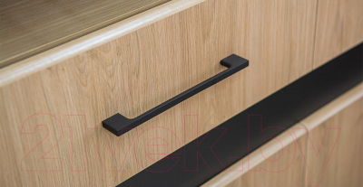 Шкаф Мебель-Неман Стенли МН-037-04