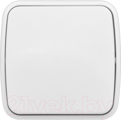 Выключатель EKF Basic Минск ОП 1кл 10А / EGV10-021-10 - фото