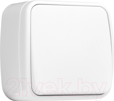 Выключатель EKF Basic Минск ОП 1кл 10А / EGV10-021-10