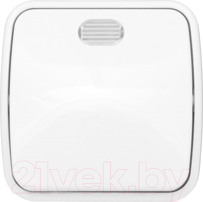 Выключатель EKF Basic Минск ОП 1кл 10А с индикатором / EGV10-121-10 - фото