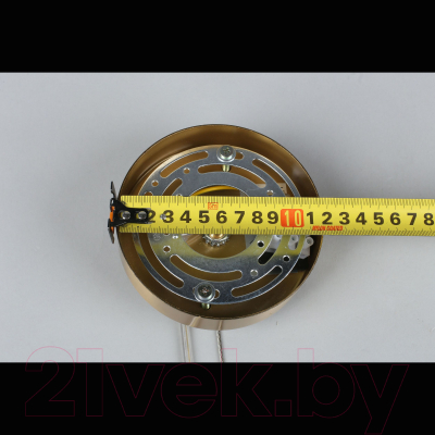 Люстра Aployt Carla APL.010.03.136