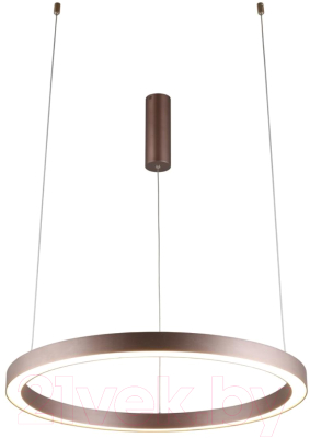 Люстра Aployt Nisia APL.025.03.48 - фото