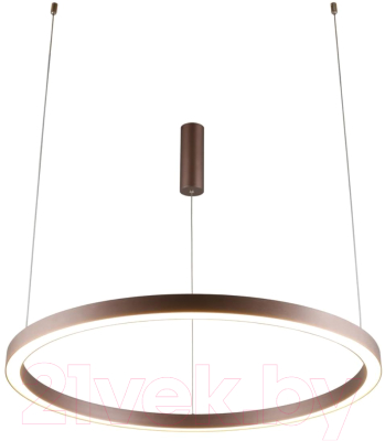 Люстра Aployt Nisia APL.025.03.60 - фото