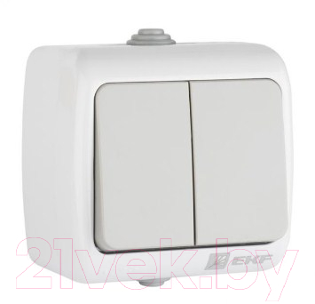 Выключатель EKF Мурманск 2кл 10А IP54 / EFV10-023-30-54 - фото