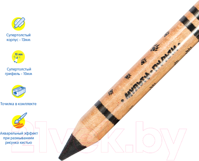 Набор акварельных карандашей Мульти-пульти Приключения Енота / CP_16833