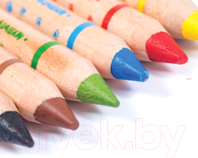 Набор акварельных карандашей Мульти-пульти Приключения Енота / CP_16833