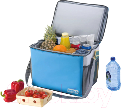 Термосумка Биосталь Дискавери / TCР-B30