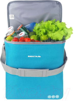 Термосумка Биосталь Кантри TCD-B