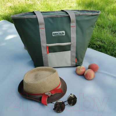 Термосумка Биосталь Фэмили TВ-G20