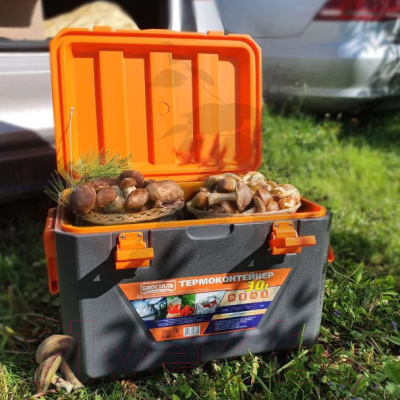 Термоконтейнер Биосталь CB-30G