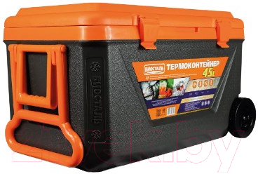 Термоконтейнер Биосталь CB-45G-К