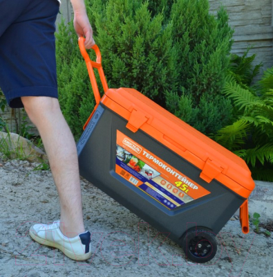 Термоконтейнер Биосталь CB-45G-К