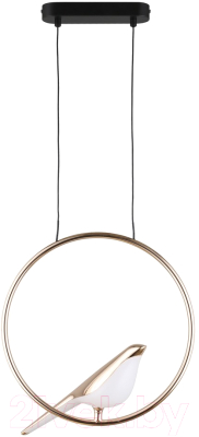 Потолочный светильник Aployt Astor APL.822.06.10 - фото