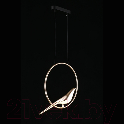 Потолочный светильник Aployt Astor APL.822.06.10