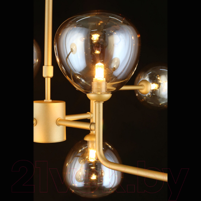 Люстра Aployt Roser APL.913.17.08