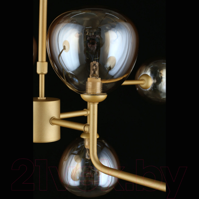 Люстра Aployt Roser APL.913.17.08