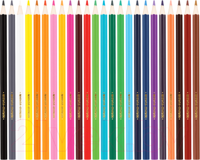 Набор цветных карандашей Мульти-пульти Енот в Индии / CP_10750