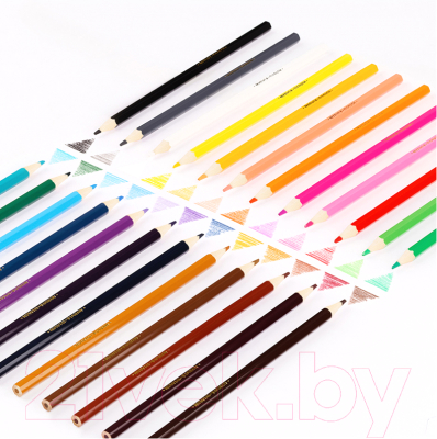 Набор цветных карандашей Мульти-пульти Енот в Индии / CP_10750