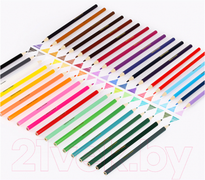 Набор цветных карандашей Мульти-пульти Енот в Индии / CP_10823