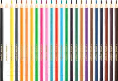 Набор цветных карандашей Мульти-пульти Енот в Испании / CP_10758